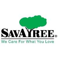 SavATree - Tree Service Logo
