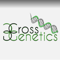 Cross Genetics Dispensary Logo