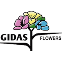 Gidas Flowers Logo