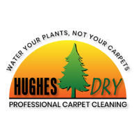 Hughes Dry Professional Carpet Care Logo