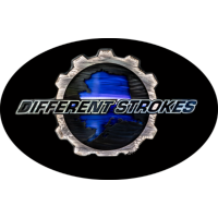Different Strokes of Alaska Logo