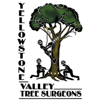 Yellowstone Valley Tree Surgeons Logo