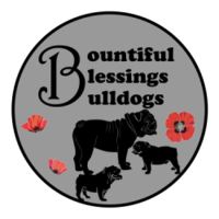 Bountiful Blessing Bulldogs Logo