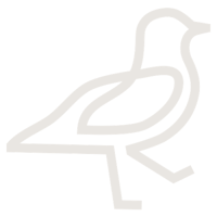 Bluebird Sunapee Logo