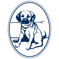 The Coco Logo