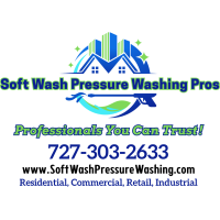 Soft Wash Pressure Washing Pros Logo