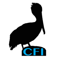Coastal Family Insurance Logo
