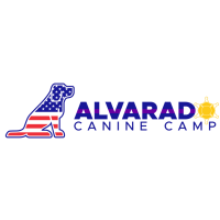 Alvarado Canine Camp Logo