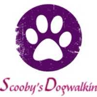 Scooby's Dogwalkin Logo