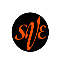 Salon V Experience Logo
