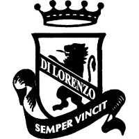 Di Lorenzo Soccer Academy Logo