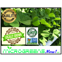 Microgreens Now Logo