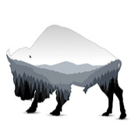 Buffalo Rentals: The Bunk House Logo