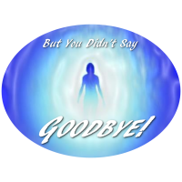 But You Didn't Say Goodbye! Psychic Medium Logo