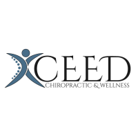 Xceed Chiropractic & Wellness Logo