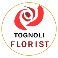 Tognoli Florist Logo
