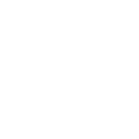 Big Al Junk Removal Services Logo