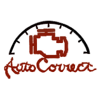 Auto Correct & Associates LLC Logo
