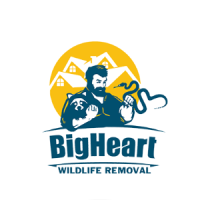 BigHeart Wildlife Logo
