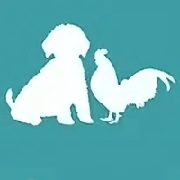 Goldendoodledoo Logo