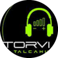 Torvi Company Logo