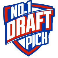 N1DP Logo