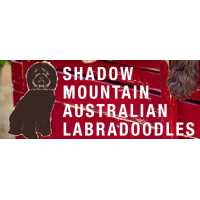 Shadow Mountain Australian Labradoodles Logo