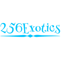 256Exotics Logo