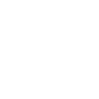 Welsh Automotive Exton Logo