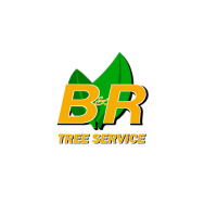 B&R Tree Service Logo
