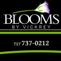 Blooms By Vickrey Logo