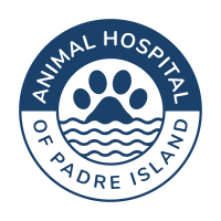 Animal Hospital of Padre Island Logo