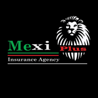 Mexiplus Insurance & Tax Services Logo