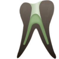 Elevated Endodontics Logo