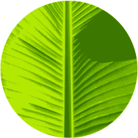 Leaves Logo
