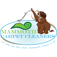 Mammoth Carpet Cleaners Logo