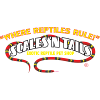 Scales Exotic Reptiles Pet Shop Logo