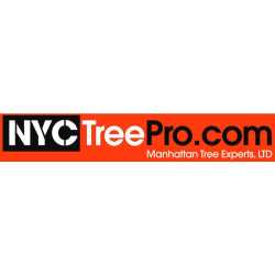 NYC Tree Pro Services