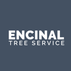 Encinal Tree Service