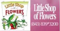 Little Shop of Flowers