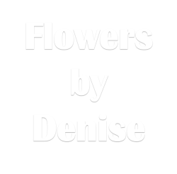 Flowers by Denise