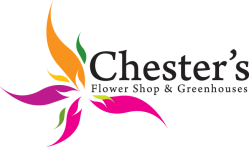 Chester's Flower Shop And Greenhouses