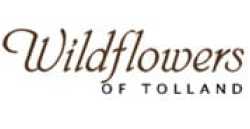 Wildflowers of Tolland