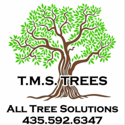 TMS Trees