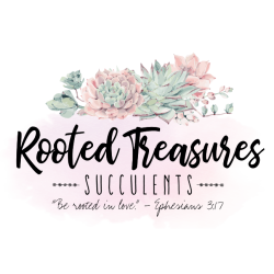 Rooted Treasures Succulents