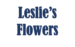 Leslie's Flowers