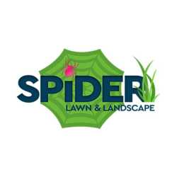 Spider Lawn and Landscape