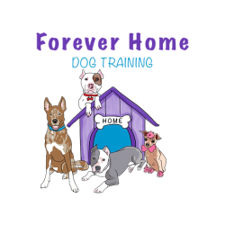 Forever Home Dog Training