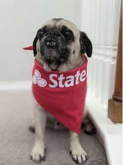 Peter Story - State Farm Insurance Agent