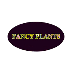 Fancy Plants